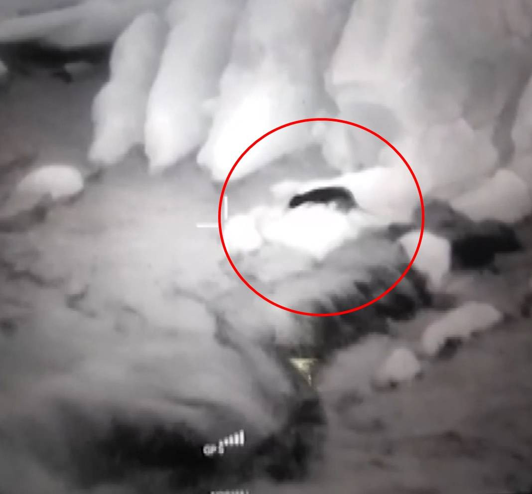 Anadolu parsı ile sırtlan karşı karşıya geldi - Resim: 3